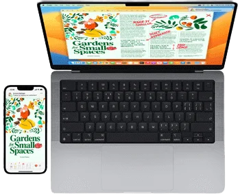 Dex Image