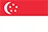Flag of Singapore 48by32 Image