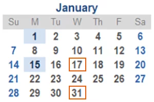 Calendar 17 & 31 January 300by200