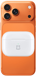 Apple iPhone 17 Pro Max Reverse Wireless Charging 121by250px